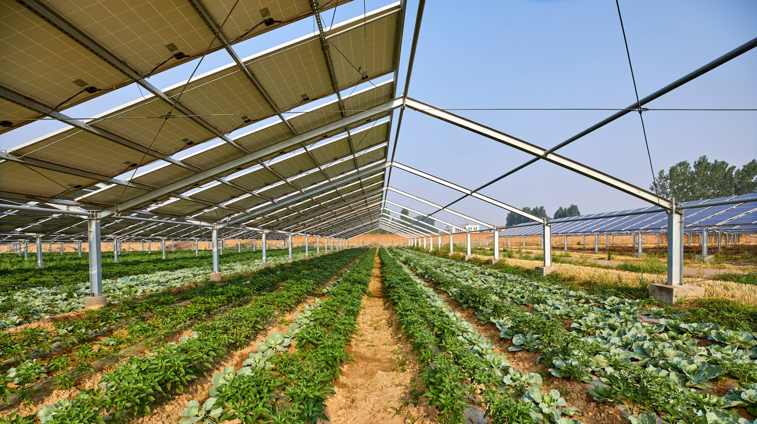 Daily Energy GmbH & Co. KG Photovoltaikanlagenbau Offstein